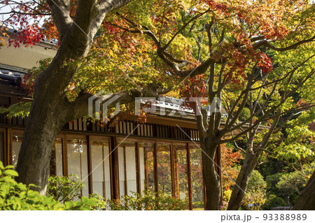 紅に染まる楓と須磨離宮 紅に染まる楓と須磨離宮 93388989