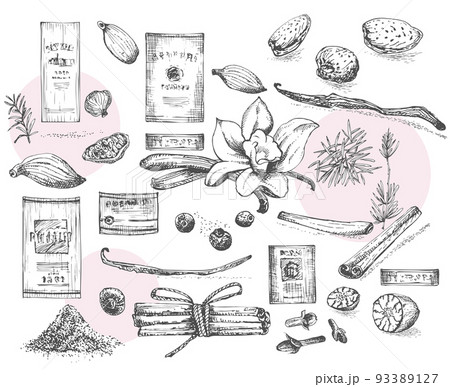 Set of hand drawn wine labels and Christmas winter spices pattern used in made desserts, hot mulled wine, homemade cookies Vintage style. Design for menu, recipes, greeting cards. 93389127
