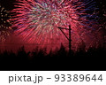花火 93389644