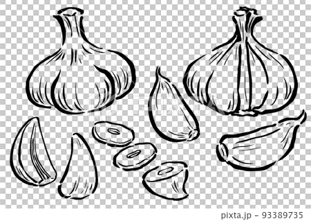 大蒜單色線描個體、截面、拆解等手繪插畫集 93389735