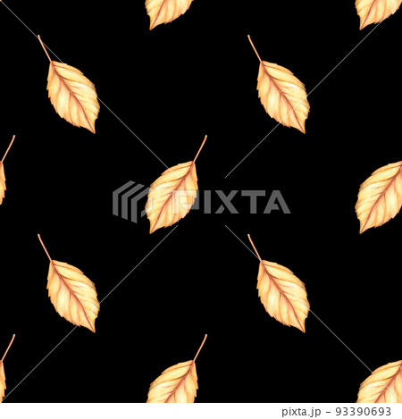 Autumn leaf seamless pattern. Watercolor vintage illustration. Isolated on a black background. 93390693