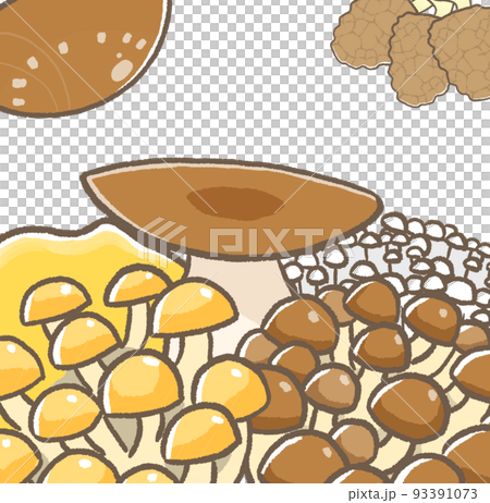 R: Mushroom wallpaper with more fairy tales☆Mushroom ③ R: Mushroom wallpaper with more fairy tales☆Mushroom ③ 93391073