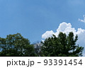 夏の空 93391454