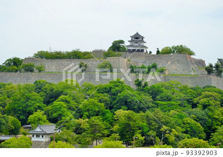 丸亀城 天守閣と石垣 93392903