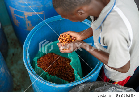 African Americam worker placing coffee beans in the bag into a plastic container 93396287