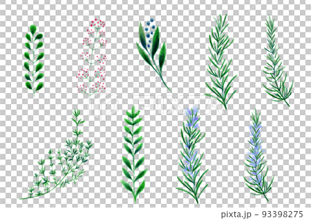 Plants-List- 93398275