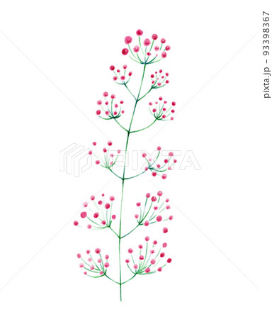 植物-赤- 93398367