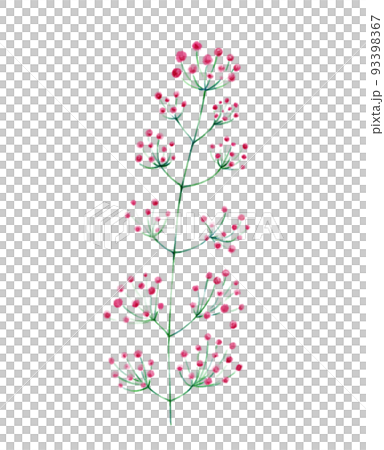 植物-赤- 93398367