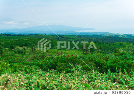 typical landscape of the southern Kuriles, view of Kunashir Island from the slope of Golovnin volcano, Mendeleyev volcano is visible in the distance in the haze typical landscape of the southern Kuriles, view of Kunashir Island from the slope of Golovnin volcano, Mendeleyev volcano is visible in the distance in the haze 93399056