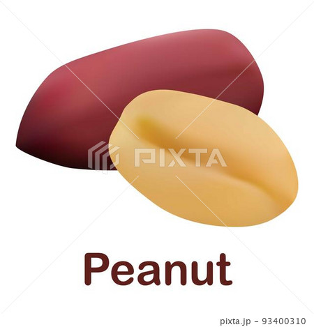 Peanut icon, realistic style 93400310
