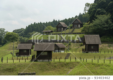 鹿児島県の住吉池公園キャンプ村で撮影。 93403402
