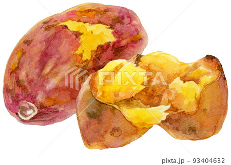 水彩2つの焼き芋_割ったさつまいも 水彩2つの焼き芋_割ったさつまいも 93404632