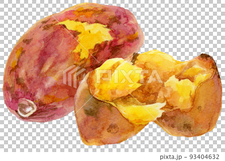 水彩2つの焼き芋_割ったさつまいも 水彩2つの焼き芋_割ったさつまいも 93404632
