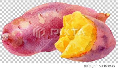 Watercolor sweet potato_whole and half 93404635