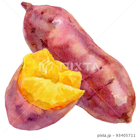 水彩さつまいもと半分に割ったさつまいも 93405711
