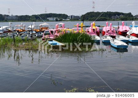 手賀沼 利根川水系 93406005