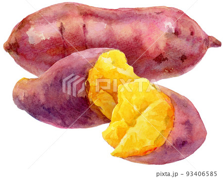 水彩集まった3つのさつまいも 93406585