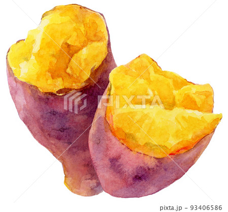 水彩縦に並んだ半分のさつまいも 93406586