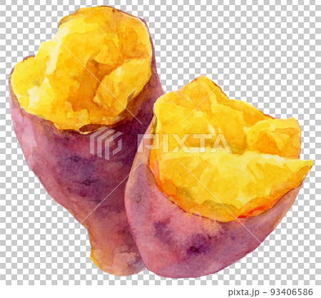 水彩縦に並んだ半分のさつまいも 93406586
