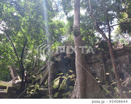 カンボジア ベンメアレア カンボジア ベンメアレア 93406644