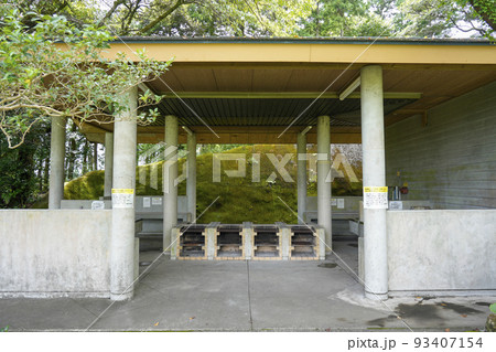 鹿児島県の八重山公園キャンプ村で撮影。 93407154
