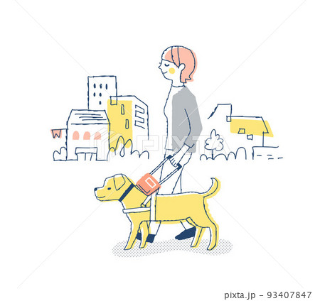 盲導犬と歩く視覚障がい者の女性 盲導犬と歩く視覚障がい者の女性 93407847