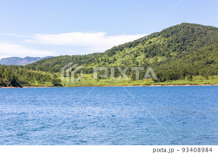 夏の野反湖 湖岸の風景 夏の野反湖 湖岸の風景 93408984