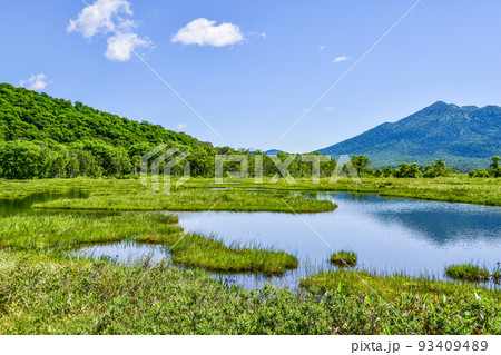 尾瀬ヶ原の池塘より燧ヶ岳を望む 93409489
