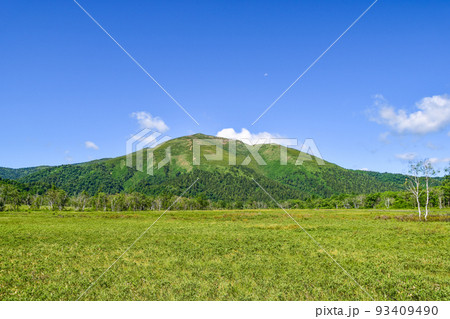 尾瀬ヶ原より至仏山を望む 93409490