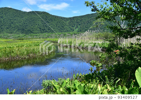 尾瀬の風景(6月) 尾瀬の風景(6月) 93409527