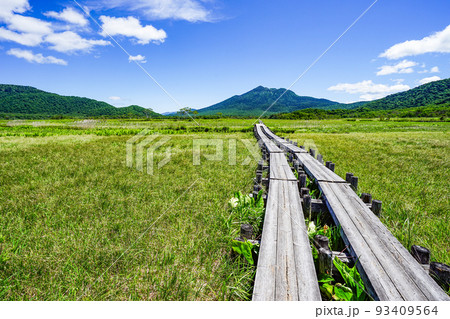 尾瀬ヶ原と燧ヶ岳 93409564