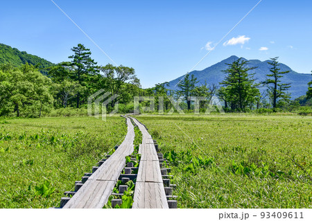 6月の尾瀬ヶ原 6月の尾瀬ヶ原 93409611