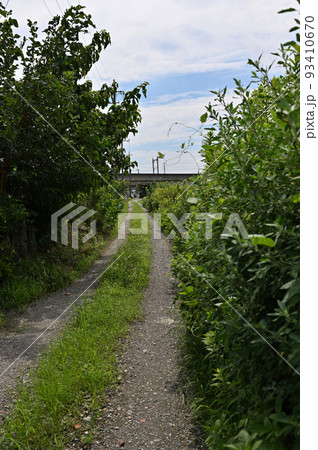 (田舎の風景)のどかな田舎道を進んでいく (田舎の風景)のどかな田舎道を進んでいく 93410670
