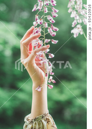 自然溢れる情景の中でフジの花に手を添える女性 93410916