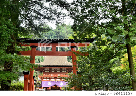 丹生都比売神社 (中鳥居から楼門)【和歌山県伊都郡かつらぎ町上天野】 93411157