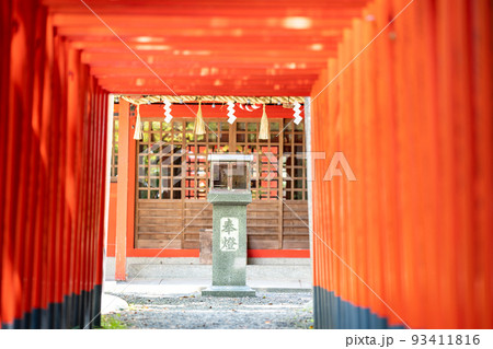 三重県桑名市の桑名城跡にある鎭國稲荷神社の朱い鳥居 93411816