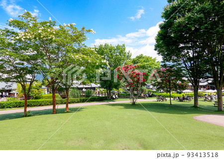 夏の川場田園プラザ2 93413518