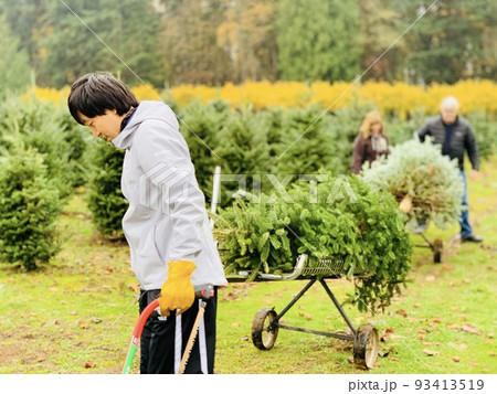 アメリカ、ポートランドでのモミの木狩り アメリカ、ポートランドでのモミの木狩り 93413519