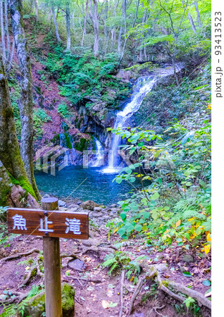 森と魚止滝（縦）1 93413523