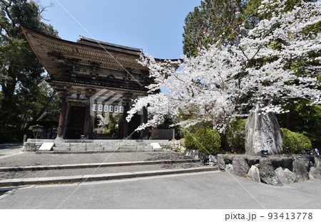 春の三井寺 仁王門 滋賀県大津市 春の三井寺 仁王門 滋賀県大津市 93413778