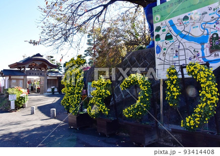 群馬県みどり市 大間々のながめ公園北口門と菊の花 群馬県みどり市 大間々のながめ公園北口門と菊の花 93414408