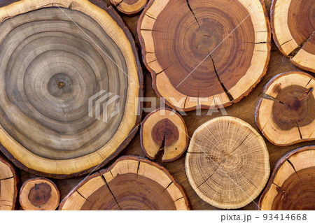 Round wooden unpainted solid natural ecological soft colored brown and yellow crackled stumps background, tree cut sections with annual rings different sizes and forms, background texture. 93414668