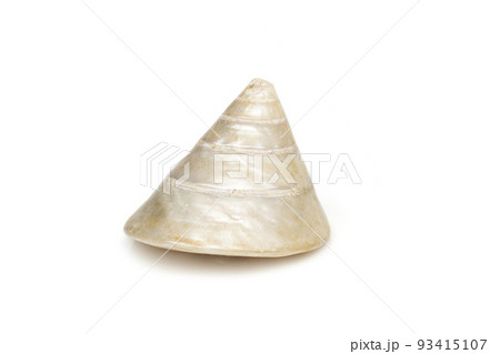 Image of pearl trochus seashells on a white background. Undersea Animals. Sea Shells. 93415107