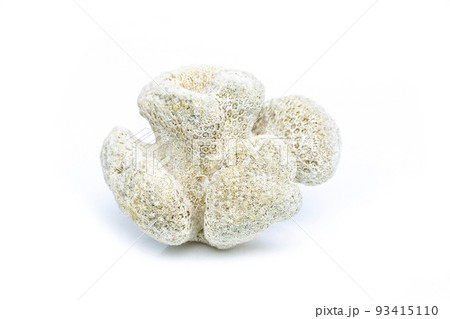 Image of coral cubes on a white background. Undersea Animals. Image of coral cubes on a white background. Undersea Animals. 93415110