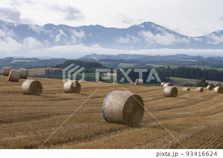 ロール畑の丘 ロール畑の丘 93416624