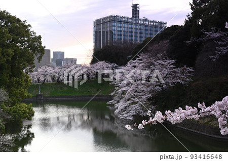 千鳥ヶ淵の桜 都会のオアシス 絶景ポイント 咲楽 千鳥ヶ淵の桜 都会のオアシス 絶景ポイント 咲楽 93416648