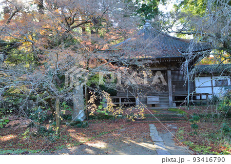 観福寺 2021-12-4 #27 観福寺 2021-12-4 #27 93416790