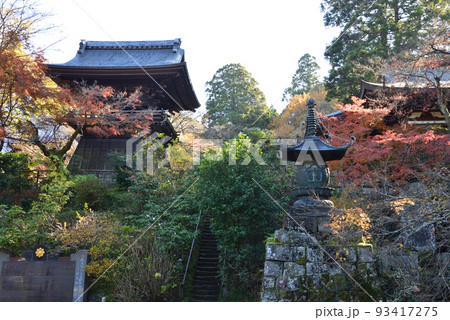 観福寺 2021-12-4 #33 観福寺 2021-12-4 #33 93417275