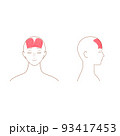 筋肉の簡単な図　前頭筋　正面・横 93417453