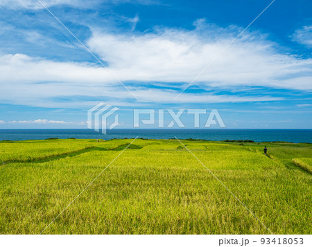 農耕 農業 アジア人 93418053